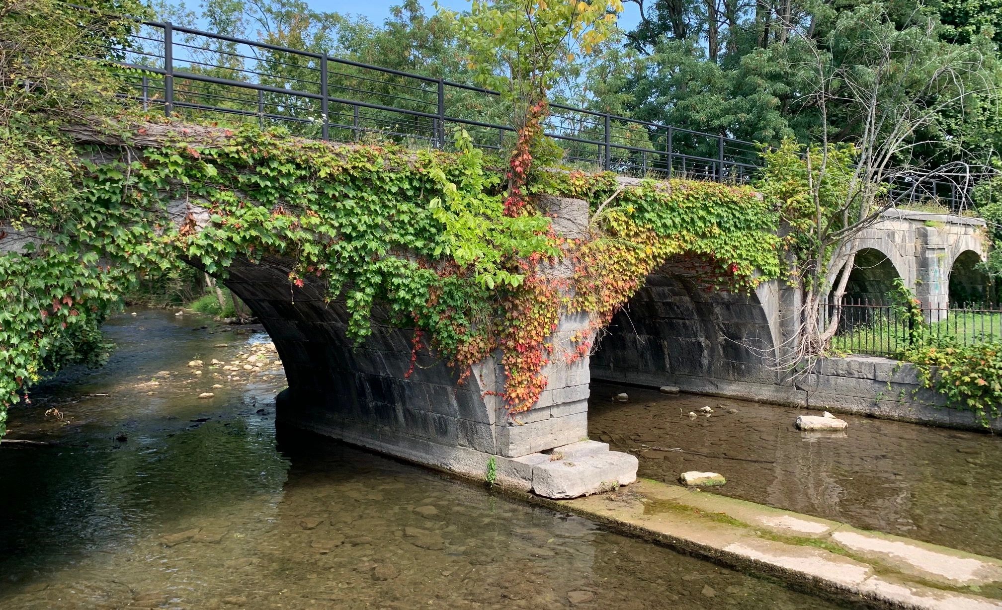 Town of elbridge